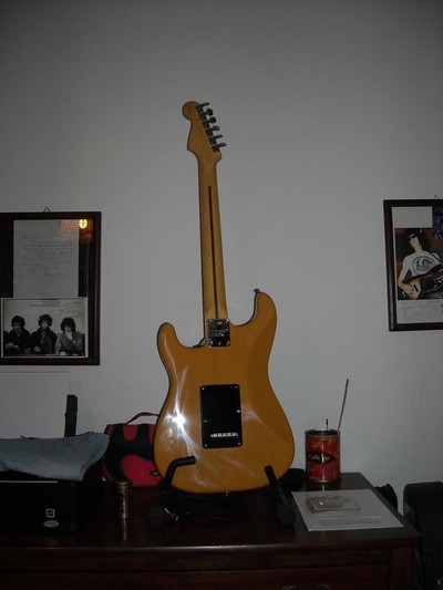 
American Stratocaster Back