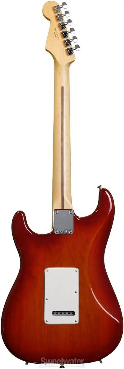 Standard Stratocaster Plus Top back