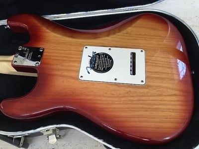 American Stratocaster HSS Body Back