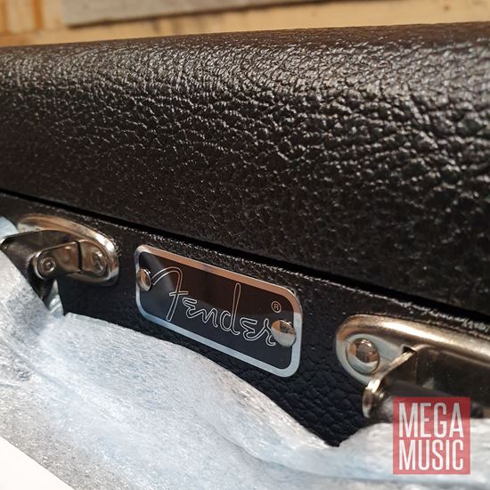 2019 Limited Edition Roasted Poblano Stratocaster Relic case detail