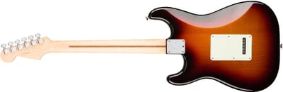 American Professional Stratocaster HSS Shawbucker Back