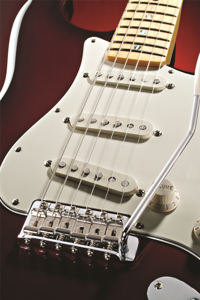 Robin Trower Stratocaster detail