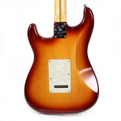Fender Select Port Orford Cedar Stratocaster Body Back