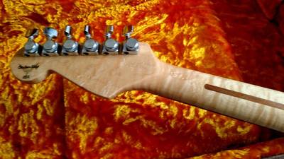 Contemporary Strat FMT Headstock Back