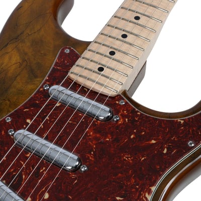 Spalted Maple Top Stratocaster pickups