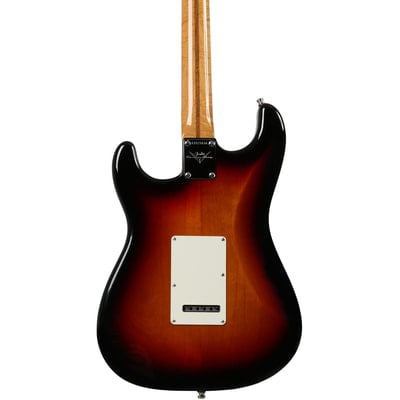 American Custom Stratocaster (2015 model) body back
