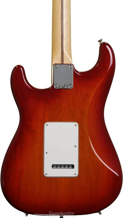Standard Stratocaster Plus Top body back