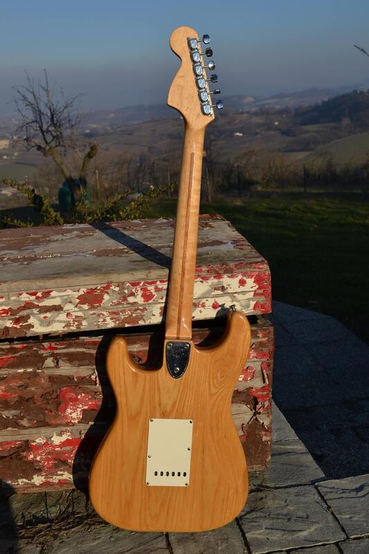 1973 Stratocaster Back