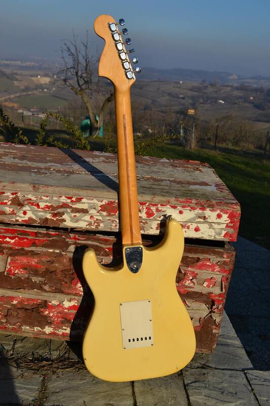 1974 Stratocaster Back
