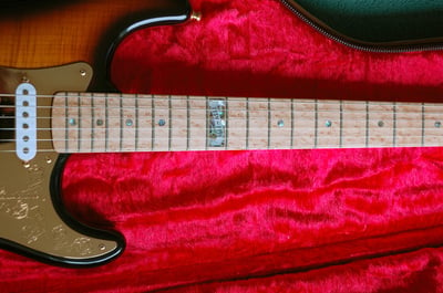 DD 40th Anniversary Stratocaster Fretboard 