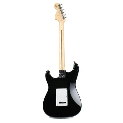 Stratocaster Pro (2009/10 model) back