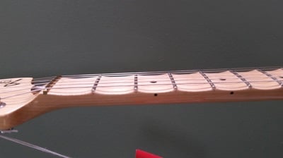 malmsteen stratocaster Fretboard