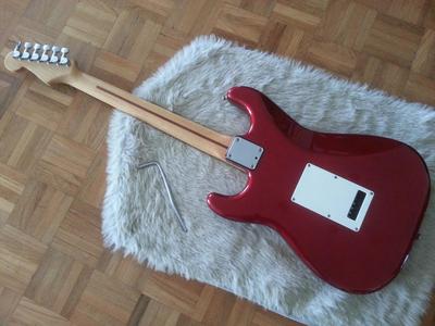 FS1 Standard Stratocaster MIJ back
