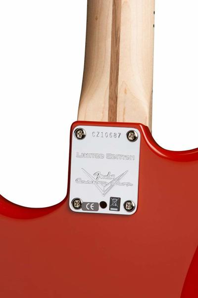 Pete Townshend stratocaster Neck Plate