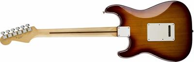 Standard Stratocaster HSS Plus Top back