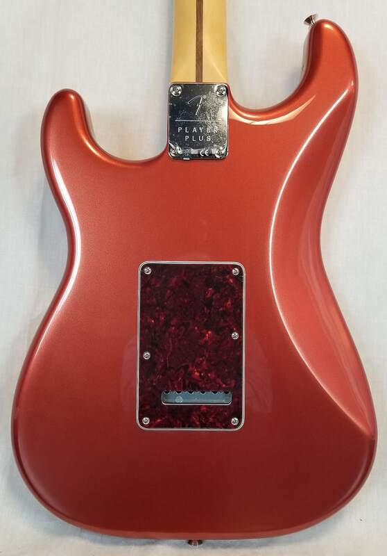 Player Plus Stratocaster body back