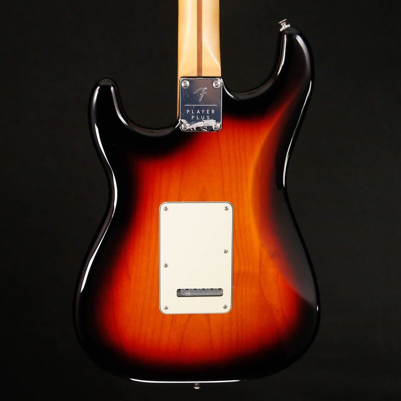 Player Plus Stratocaster body back