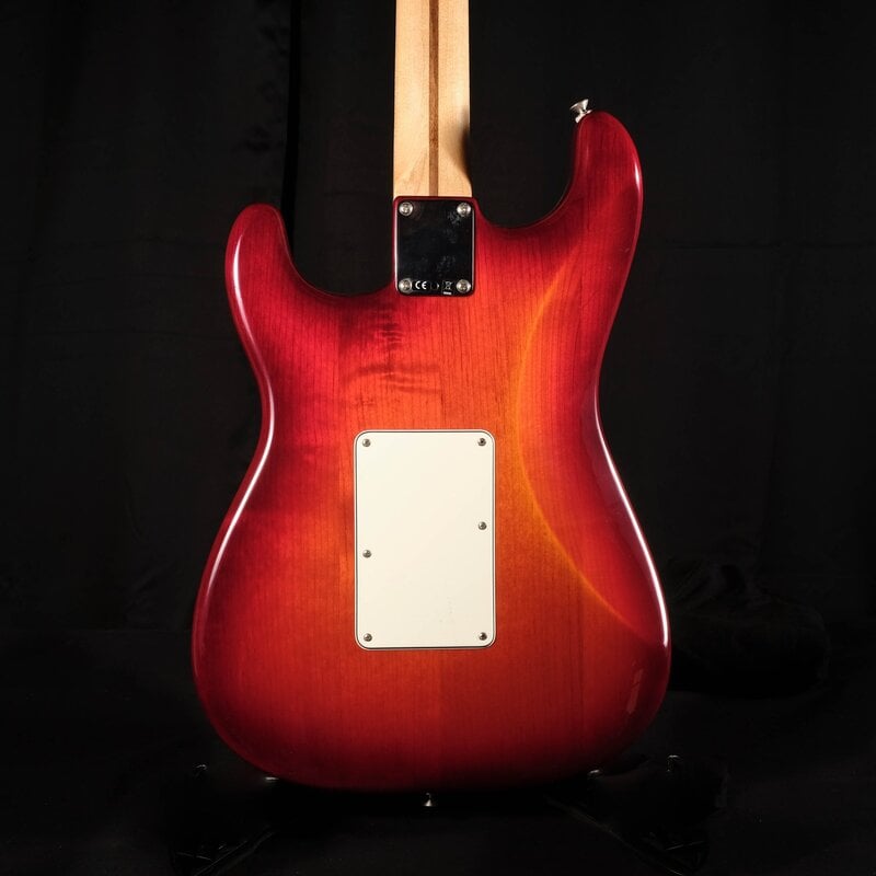 Standard Stratocaster Plus Top with Locking Tremolo body back