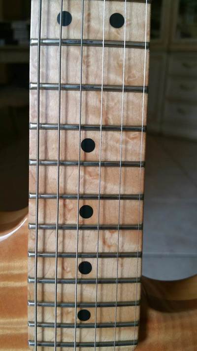 Carved Top Strat HSS Dots