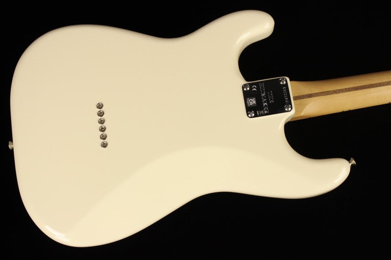 Nile Rodgers stratocaster Body Back