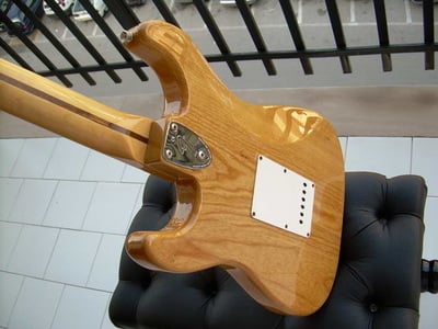 Classic '70s Stratocaster body horns back