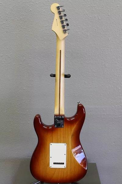 American Standard Stratocaster HSS Back