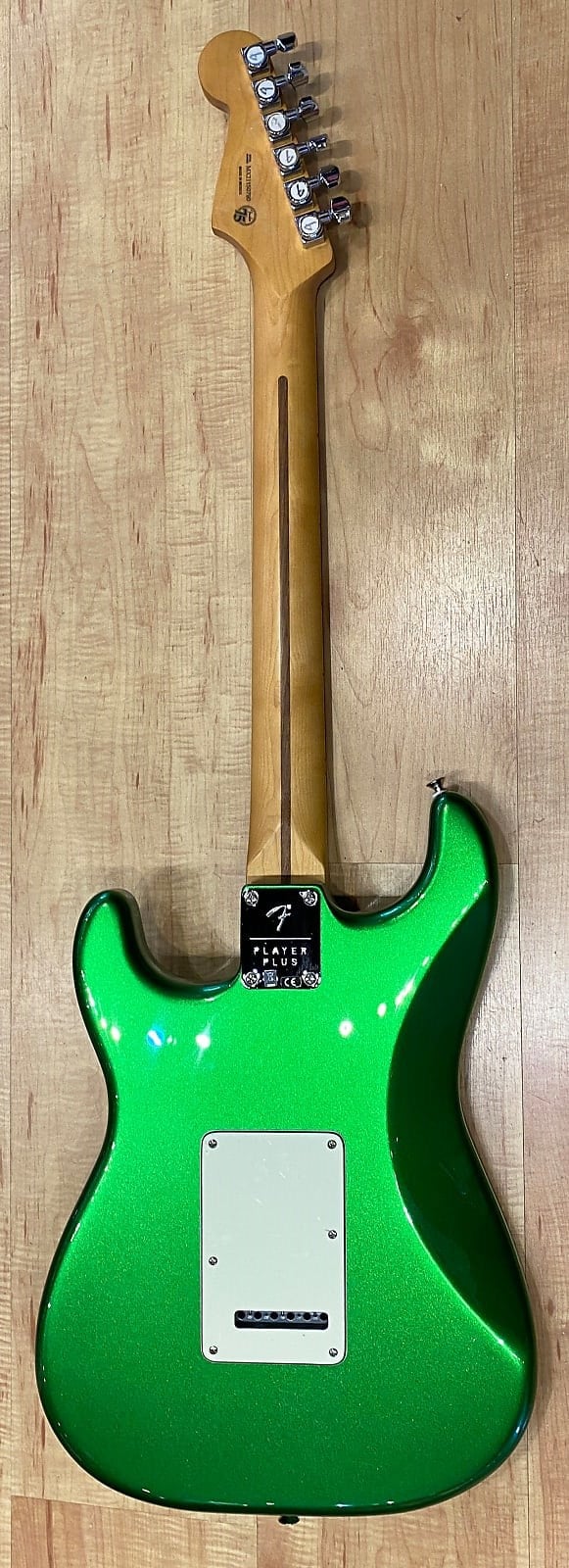 Player Plus Stratocaster HSS back
