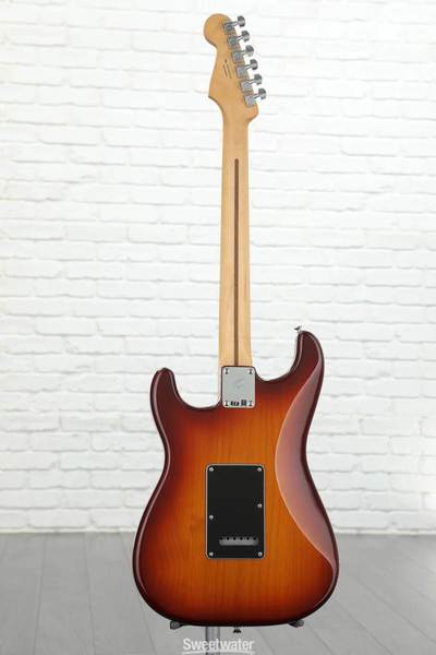 Player Stratocaster Plus Top back