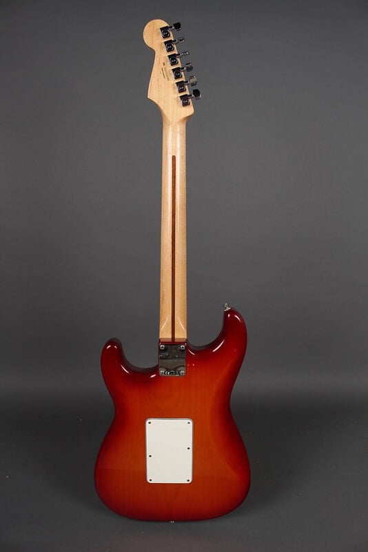 Standard Stratocaster Plus Top with Locking Tremolo back