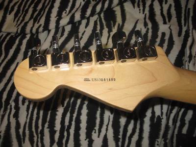 American Stratocaster Rustic Ash headstock back