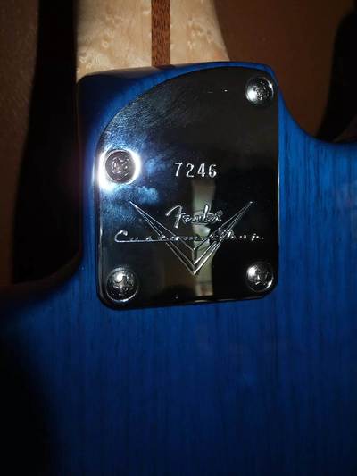 Custom Deluxe Stratocaster FMT neck plate