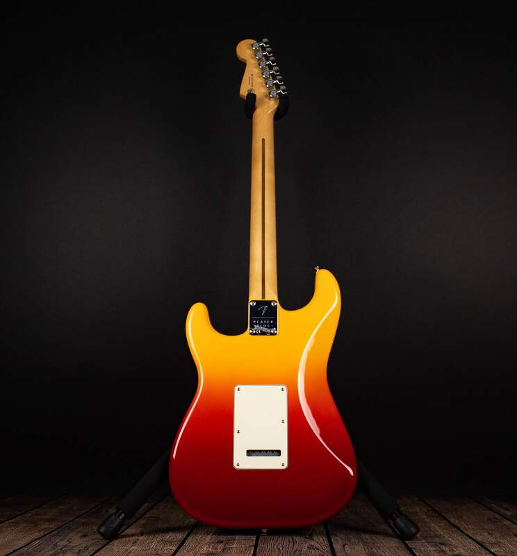 Player Plus Stratocaster back