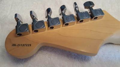 american strat texas special Headstock Back