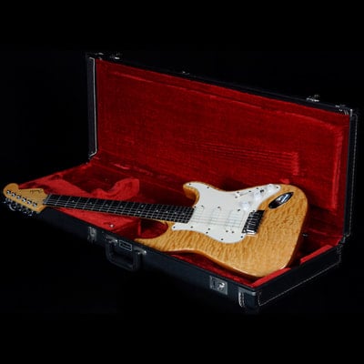 Set Neck Stratocaster Case