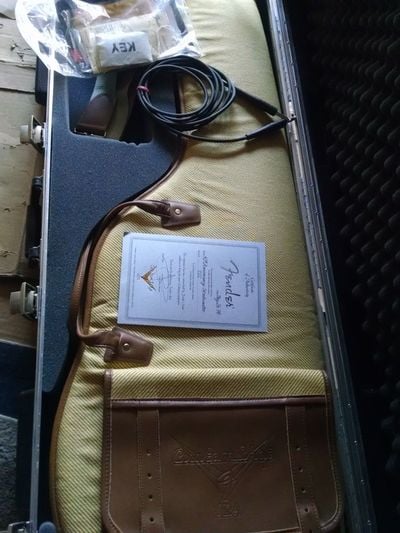 DD 40th Anniversary Stratocaster Case