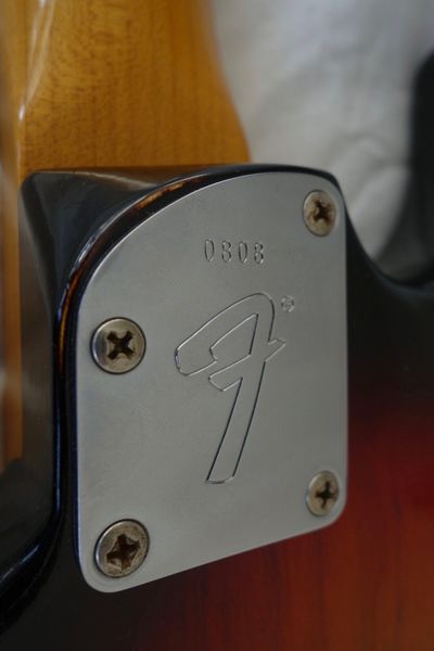 Postmodern Stratocaster neck plate