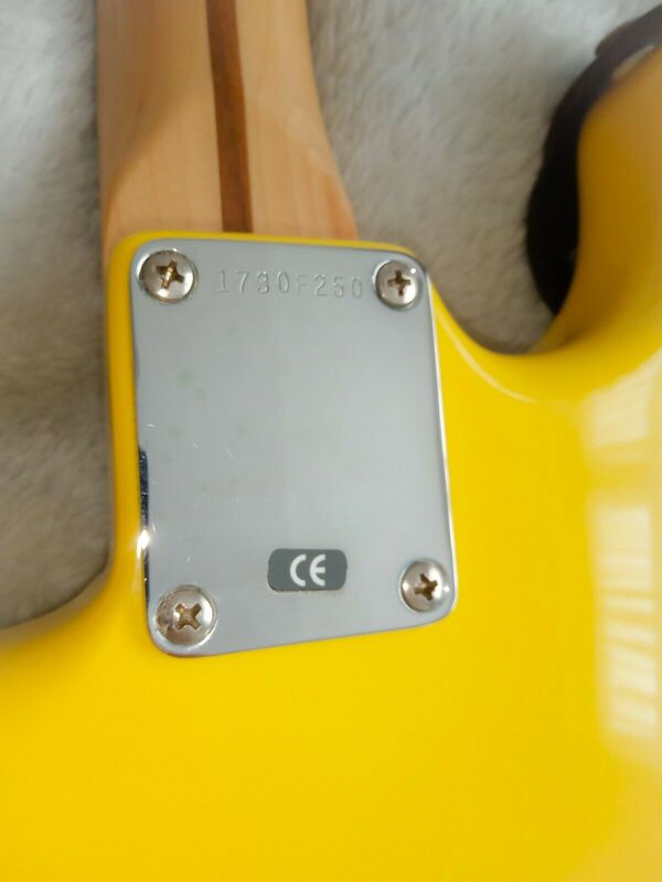 Special Edition stratocaster Neck Plate