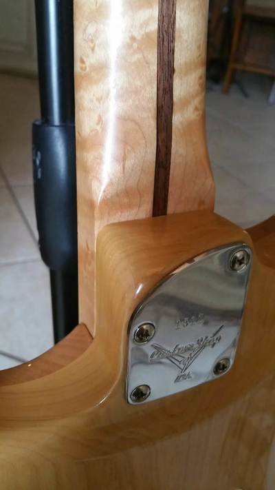 Carved Top Strat HSS Neck Plate