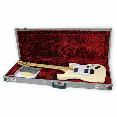 Jim Root stratocaster Case