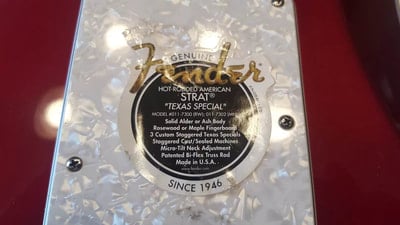 american strat texas special back plate