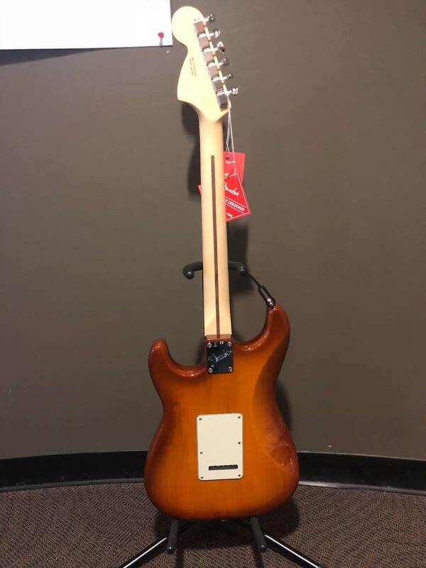 American Performer Stratocaster Back